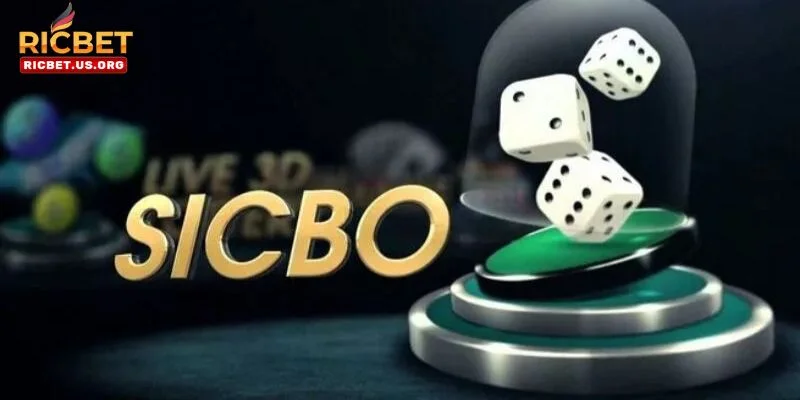 Sicbo RICBET – Cá Cược Dễ Dàng, Thắng Lớn Đỉnh Cao 2 Cược chẵn lẻ có lối chơi khá đơn giản.