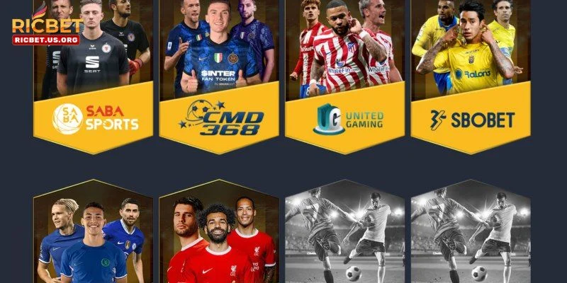 Cược thể thao mang đến kho kèo chơi bạc tỷ.