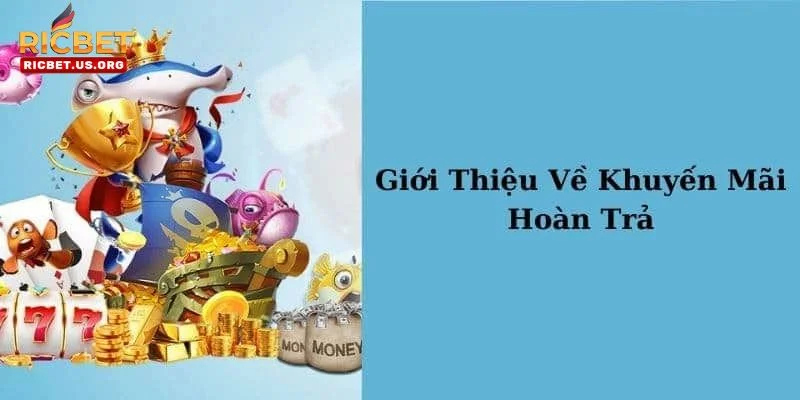 Khuyến Mãi Hoàn Trả - Không Lo Rủi Ro Tại RICBET 1 Người chơi nên nắm chắc cơ chế hoàn trả của chương trình khuyến mãi.