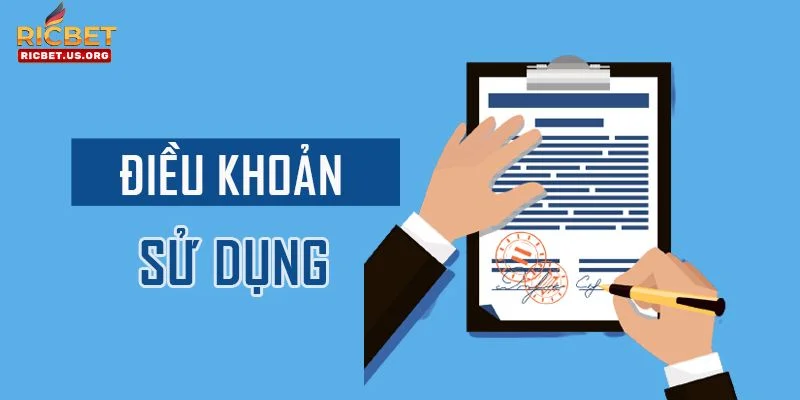 Thông tin về điều khoản là nội dung quan trọng mà hội viên cần quan tâm. 
